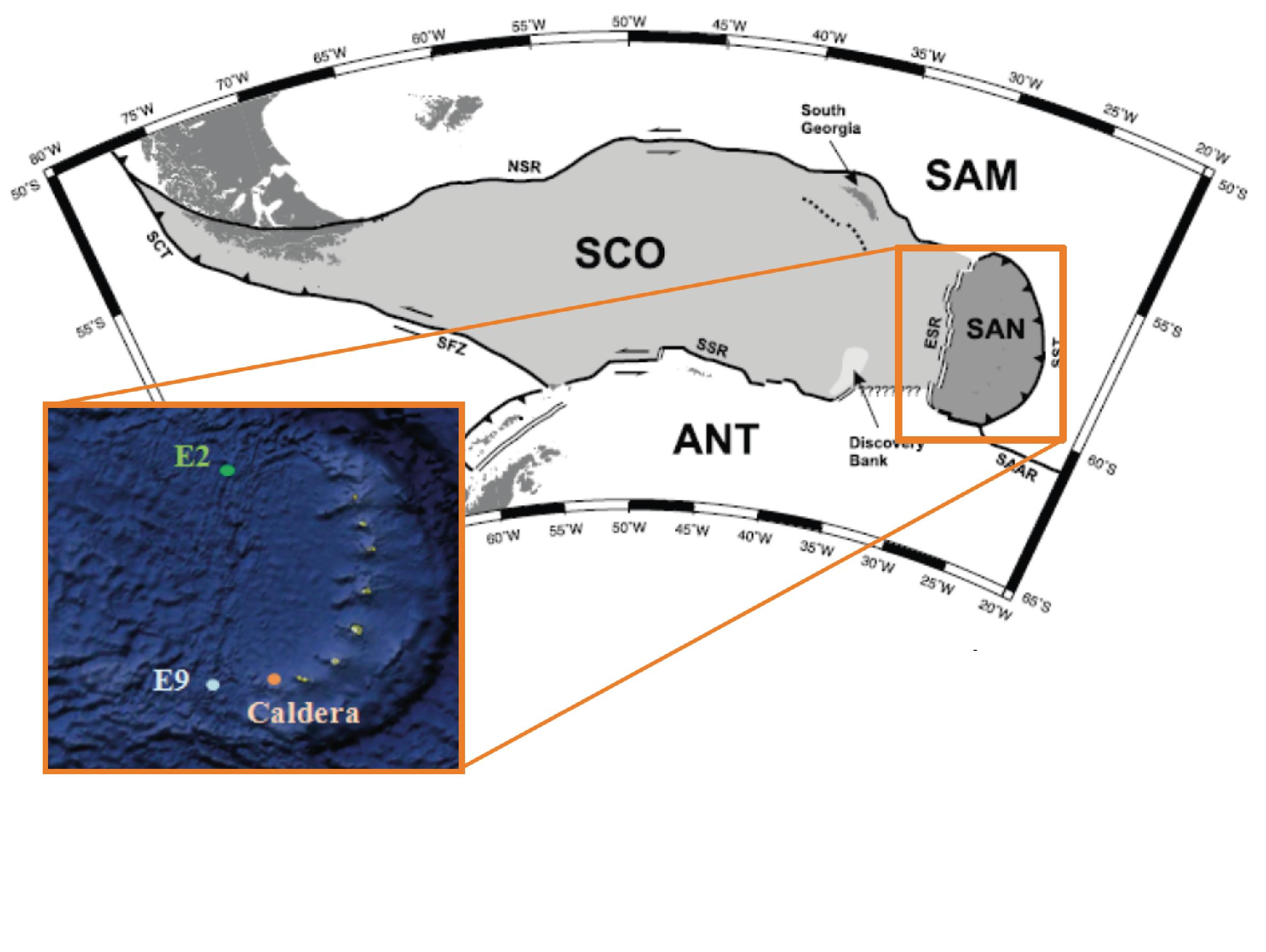 REE as geochemical tracers of hydrothermal processes in the Southern